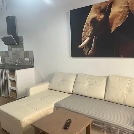 Loft H Capote Apartment